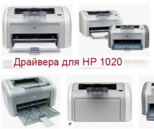 Принтер hp laserjet 1020 сетевой или нет